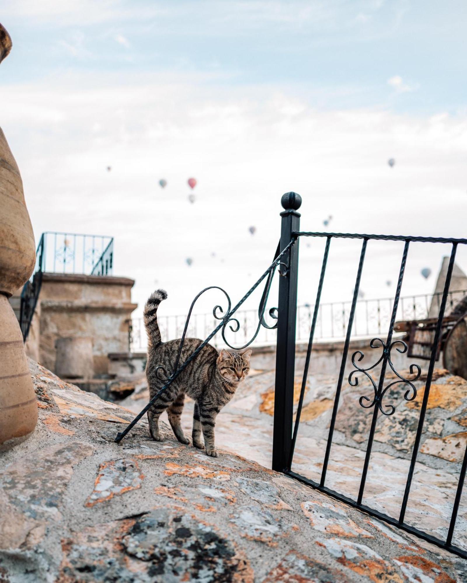 Cappadocia Cave Suites Adult Only Гьореме Екстериор снимка